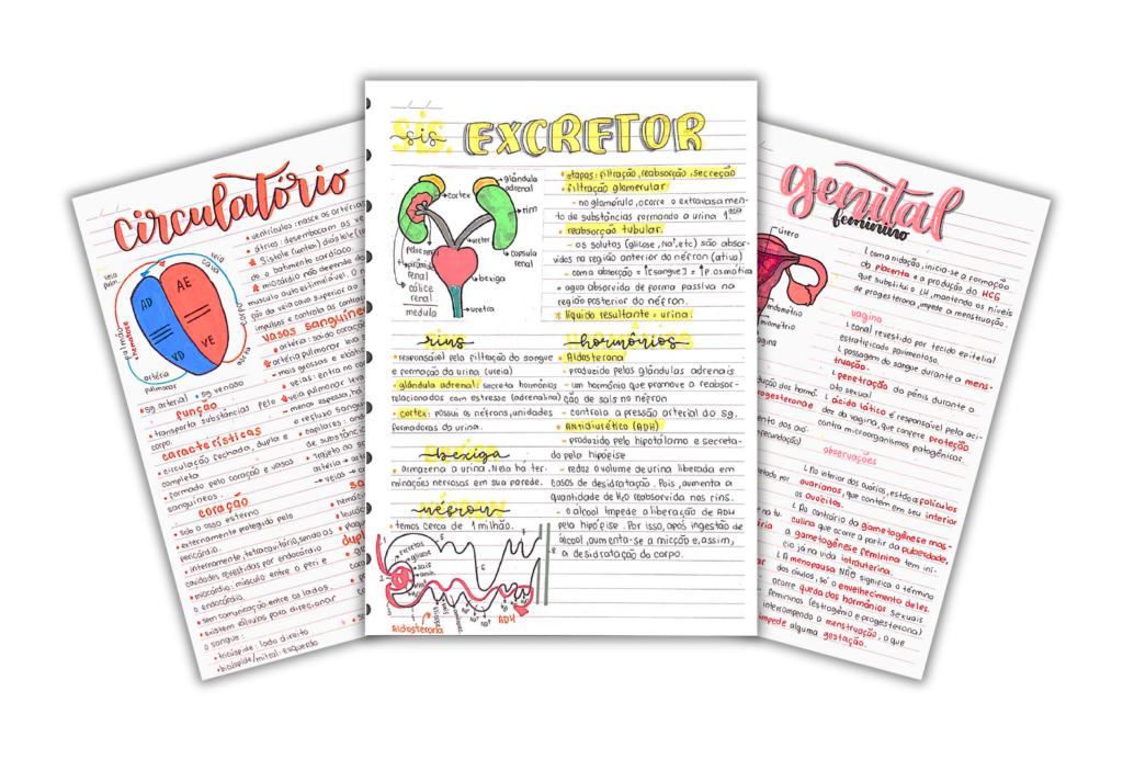 Exemplos de resumos do Pack ENEM - conteúdo organizado e visual para estudos